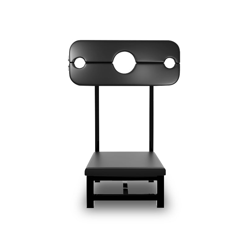 00-buy-imprisoned-love-sensual-captivity-bondage-chair-frisky-business-singapore-sex-toys