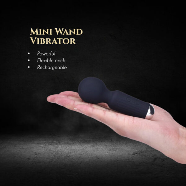 Mia - Powerful Mini Vibrator | FRISKY BUSINESS SG