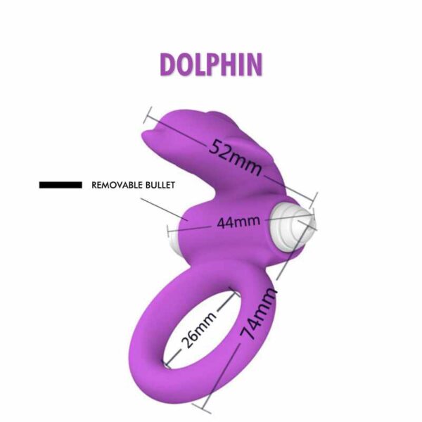 Dolphin