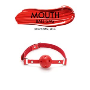 BDSM - 10pcs BDSM Starter Kit - FRISKY BUSINESS SG