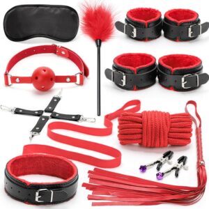 BDSM - 10pcs BDSM Starter Kit - FRISKY BUSINESS SG