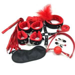BDSM - 10pcs BDSM Starter Kit - FRISKY BUSINESS SG