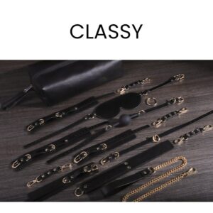 BDSM - 11 PCS BDSM STARTER KIT - FRISKY BUSINESS SG