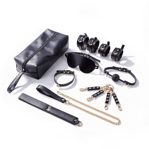 BDSM - 11 PCS BDSM STARTER KIT - FRISKY BUSINESS SG