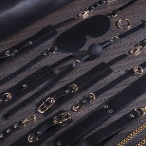 BDSM - 11 PCS BDSM STARTER KIT - FRISKY BUSINESS SG