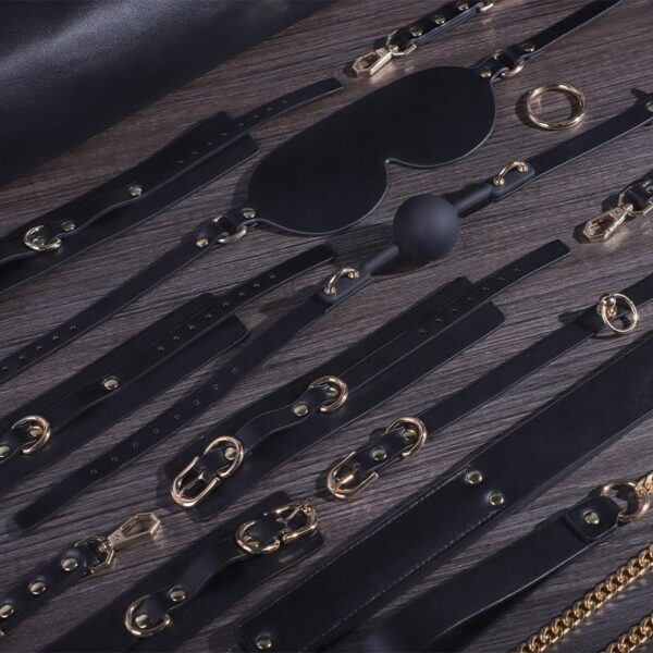 BDSM - 11 PCS BDSM STARTER KIT - FRISKY BUSINESS SG