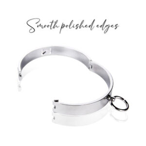 BDSM - Alloy Collar & Leash - FRISKY BUSINESS SG