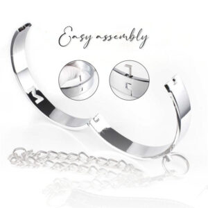 BDSM - Alloy Collar & Leash - FRISKY BUSINESS SG