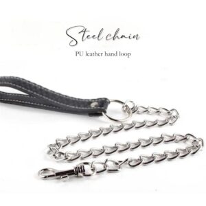 BDSM - Alloy Collar & Leash - FRISKY BUSINESS SG