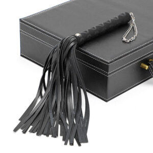 BDSM - Beginner's Flogger - FRISKY BUSINESS SG