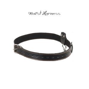 BDSM - Bondage, Anal Hook, Gag, Cuffs and Waist belt - FRISKY BUSINESS SG