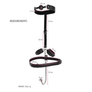 BDSM - Bondage, Anal Hook, Gag, Cuffs and Waist belt - FRISKY BUSINESS SG