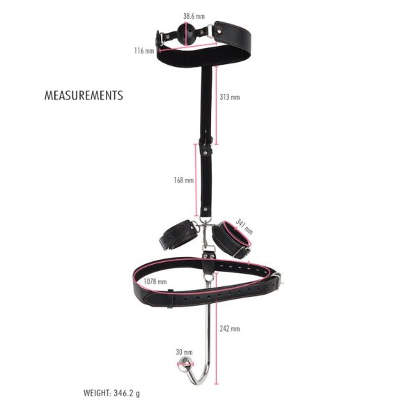 BDSM - Bondage, Anal Hook, Gag, Cuffs and Waist belt - FRISKY BUSINESS SG