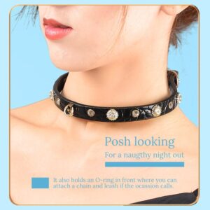 BDSM - Collar - FRISKY BUSINESS SG