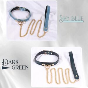 BDSM - Collar & Leash - FRISKY BUSINESS SG
