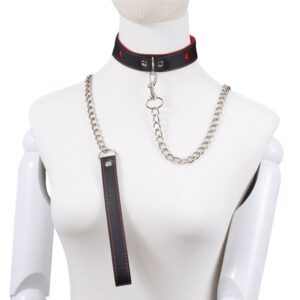 BDSM - Collar & Leash - FRISKY BUSINESS SG