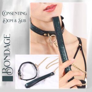 BDSM - Collar & Leash - FRISKY BUSINESS SG