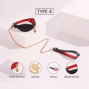 BDSM - Collar & Leash - FRISKY BUSINESS SG