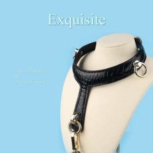 BDSM - Collar & Leash - FRISKY BUSINESS SG