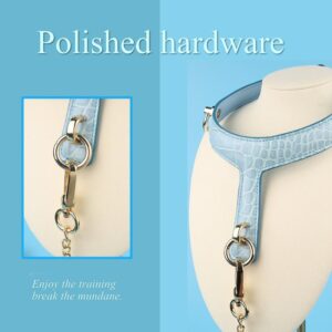 BDSM - Collar & Leash - FRISKY BUSINESS SG