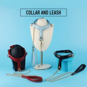 BDSM - Collar & Leash - FRISKY BUSINESS SG
