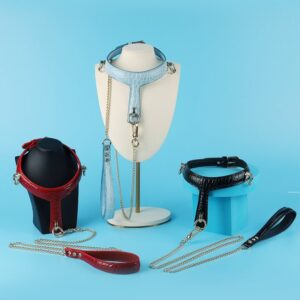 BDSM - Collar & Leash - FRISKY BUSINESS SG