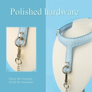 BDSM - Collar & Leash - FRISKY BUSINESS SG