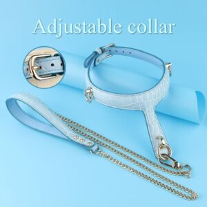 BDSM - Collar & Leash - FRISKY BUSINESS SG