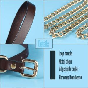 BDSM - Collar & Leash - FRISKY BUSINESS SG