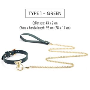 BDSM - Collar & Leash - FRISKY BUSINESS SG