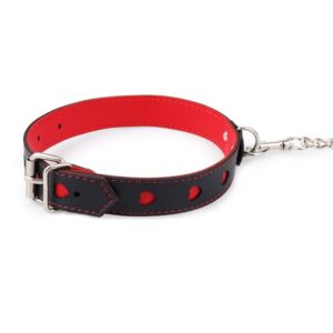 BDSM - Collar & Leash - FRISKY BUSINESS SG
