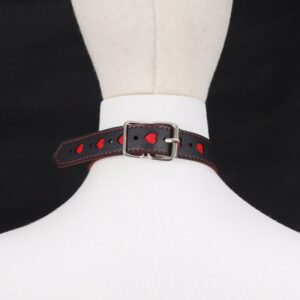 BDSM - Collar & Leash - FRISKY BUSINESS SG