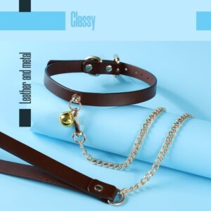 BDSM - Collar & Leash - FRISKY BUSINESS SG