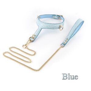 BDSM - Collar & Leash - FRISKY BUSINESS SG