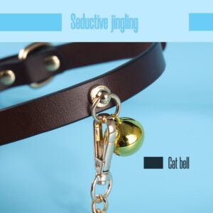 BDSM - Collar & Leash - FRISKY BUSINESS SG