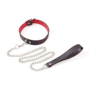 BDSM - Collar & Leash - FRISKY BUSINESS SG