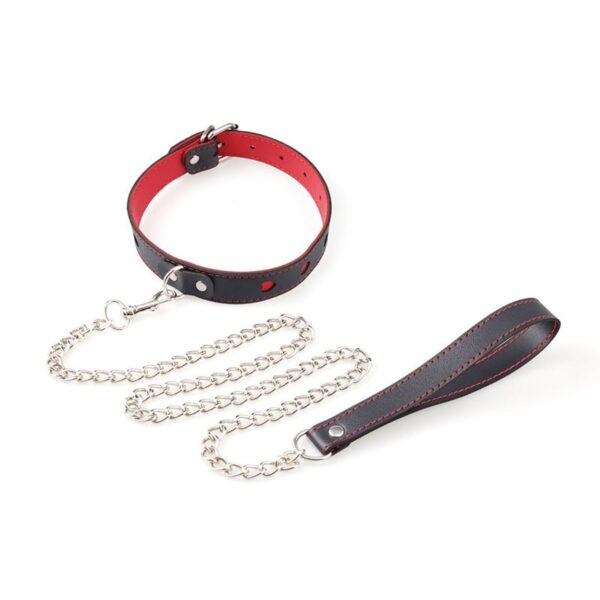 BDSM - Collar & Leash - FRISKY BUSINESS SG