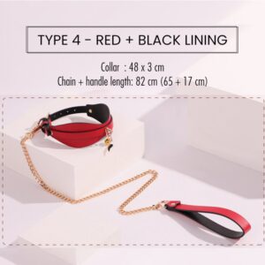 BDSM - Collar & Leash - FRISKY BUSINESS SG