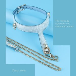 BDSM - Collar & Leash - FRISKY BUSINESS SG