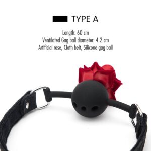 BDSM - Silicone Ball Gag - FRISKY BUSINESS SG