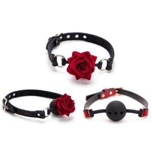 BDSM - Silicone Ball Gag - FRISKY BUSINESS SG