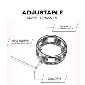 BDSM - Spiked Cock Ring - FRISKY BUSINESS SG