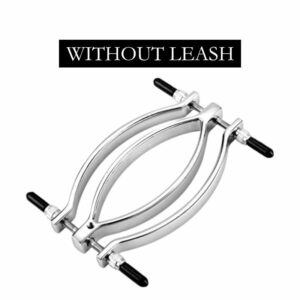 BDSM - Steel Vagina Lips Clamp - FRISKY BUSINESS SG