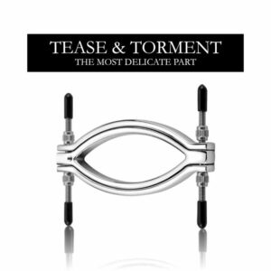 BDSM - Steel Vagina Lips Clamp - FRISKY BUSINESS SG
