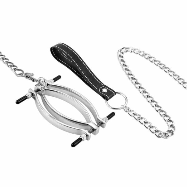 BDSM - Steel Vagina Lips Clamp - FRISKY BUSINESS SG