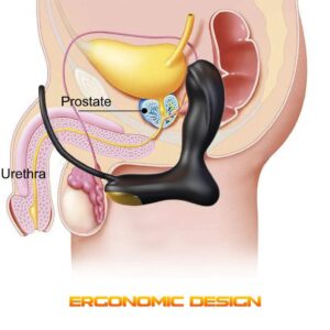 Beckie - Powerful Dual Motor Prostate Massager - FRISKY BUSINESS SG