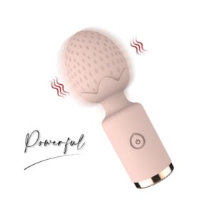 Berry Buzz - Powerful Mini AV Vibrator - FRISKY BUSINESS SG
