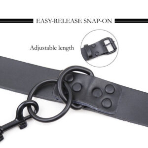 Bound and Bold - BDSM Collar & Leash - FRISKY BUSINESS SG