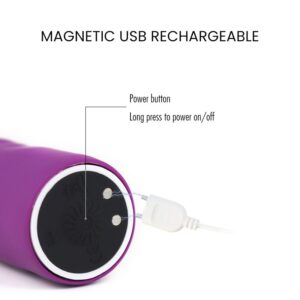 Dick - Powerful Mini Vibrator - FRISKY BUSINESS SG