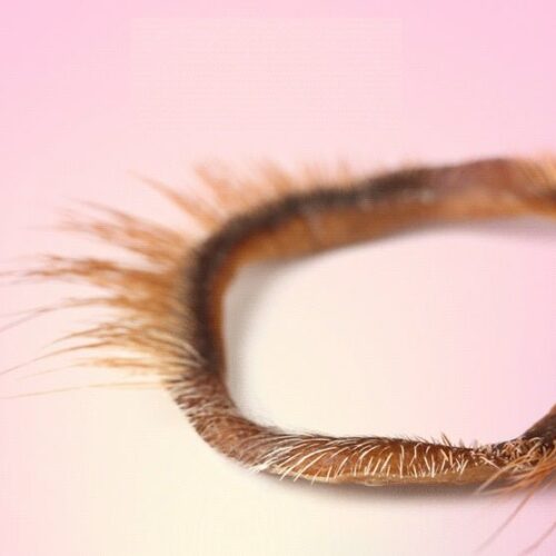 Goat Hair - Cock Ring - FRISKY BUSINESS SG